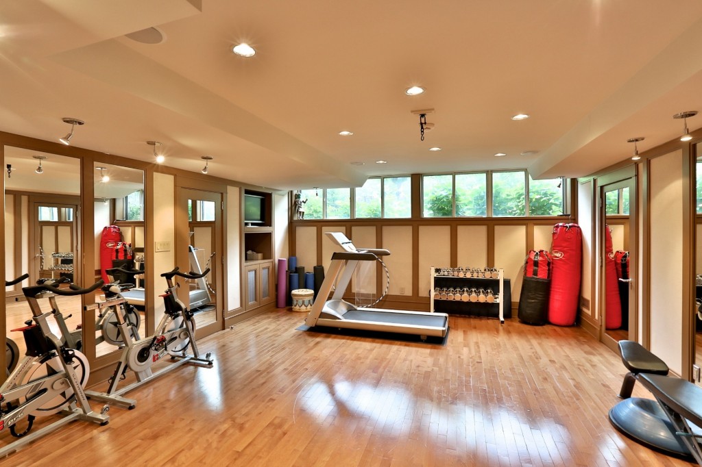 93 Mona Dr. Gym